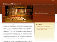 MIKE AMERSON website screenshot