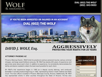 DAVID WOLF website screenshot