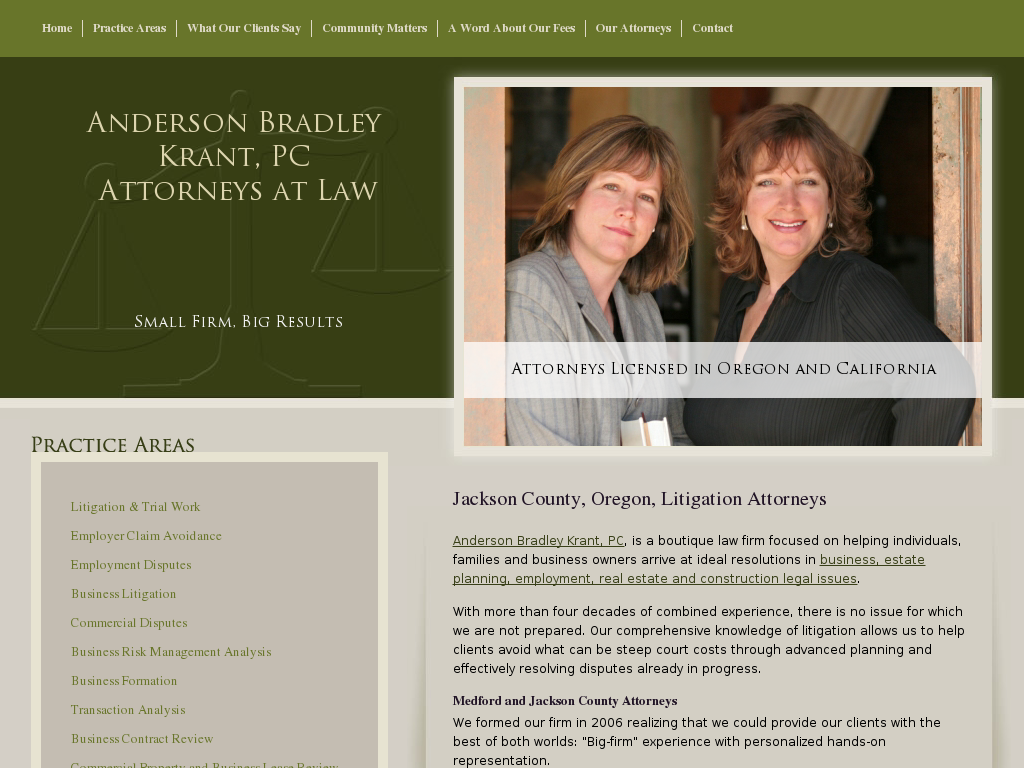 website screenshot