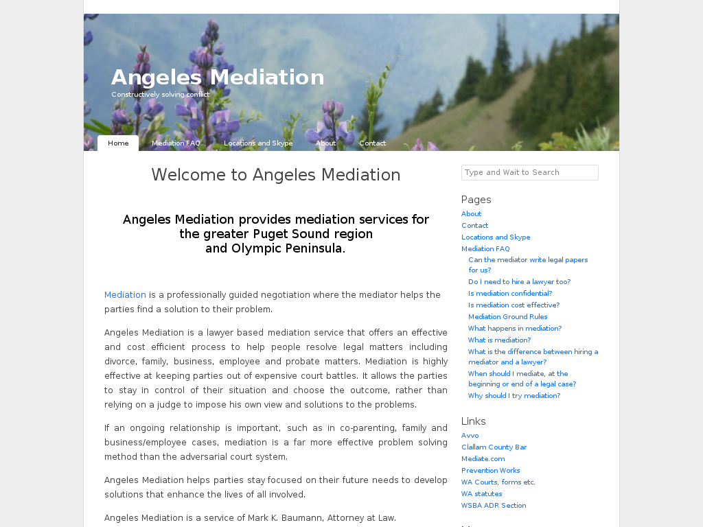 website screenshot