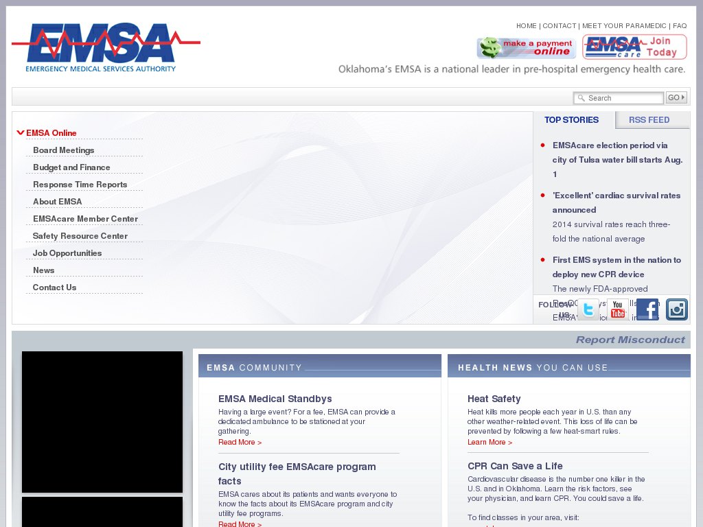 website screenshot