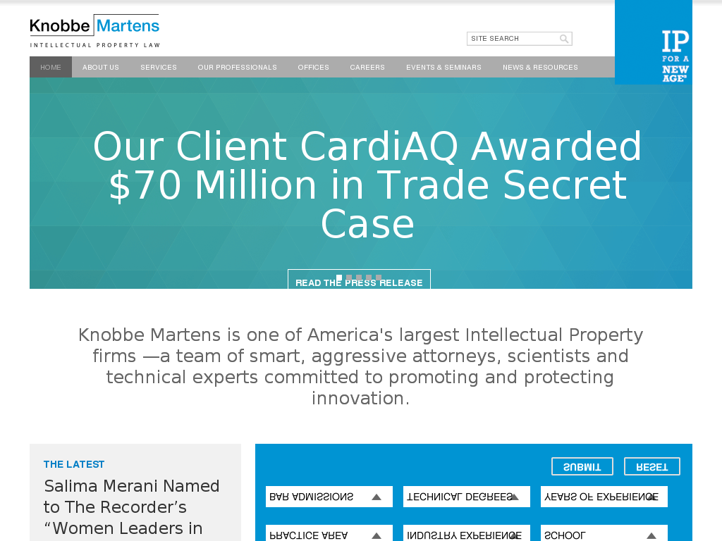 website screenshot