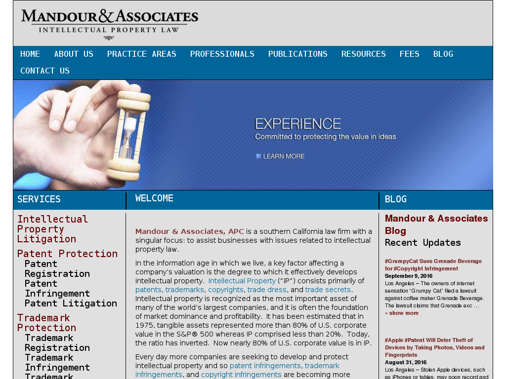 website screenshot