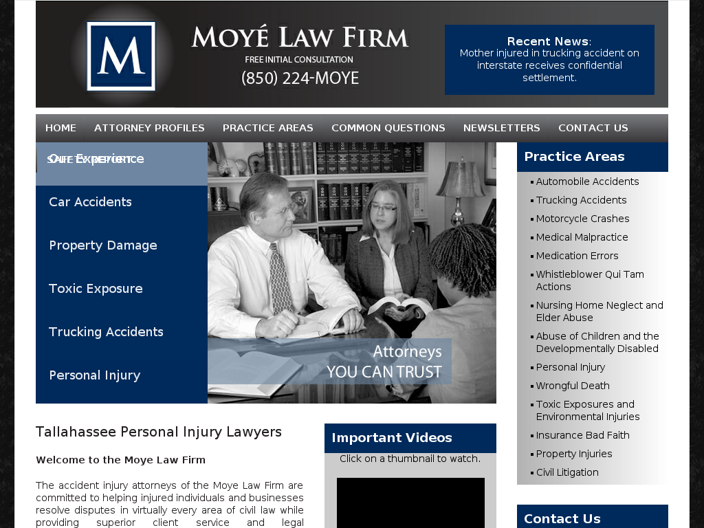 website screenshot