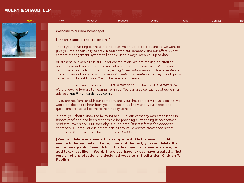 website screenshot