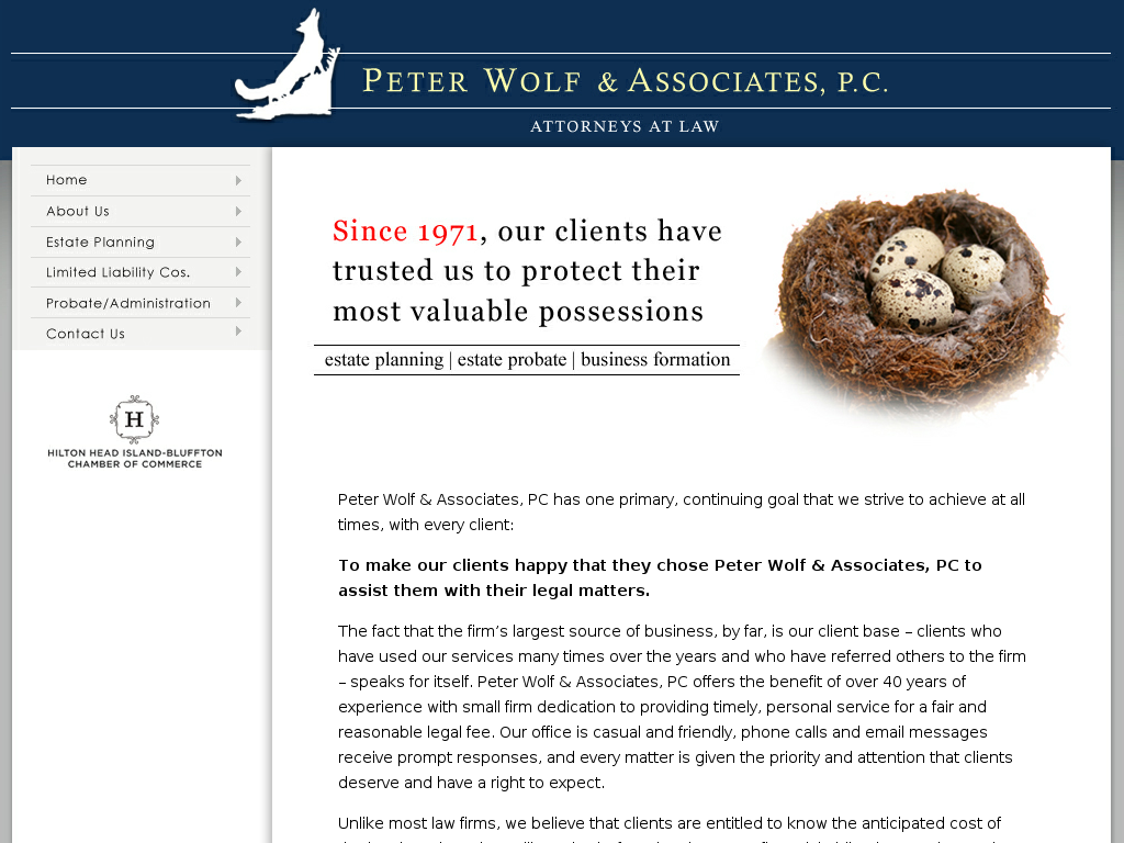 website screenshot