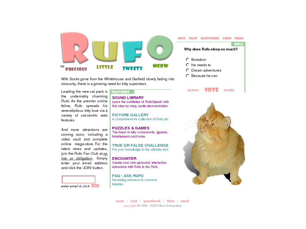 website screenshot