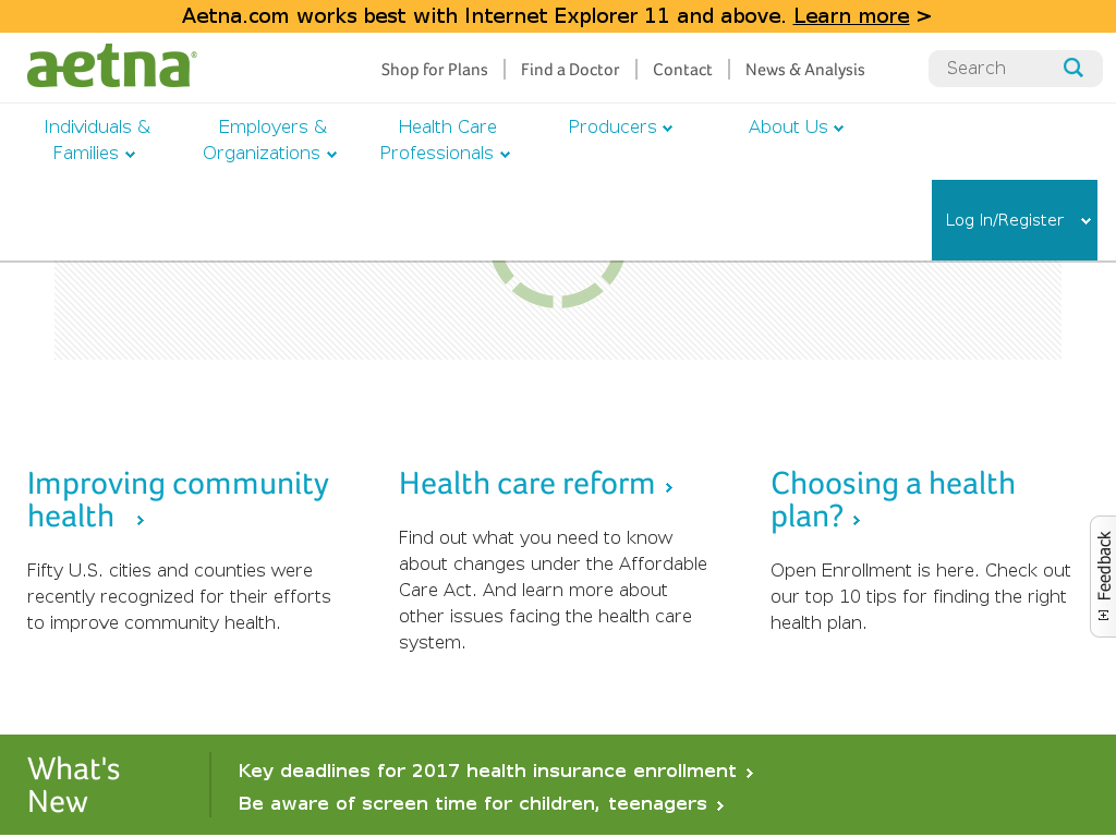 website screenshot