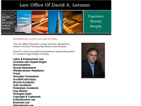 DAVID LERMAN website screenshot