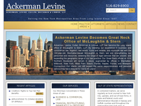 STEVE LEMMER website screenshot