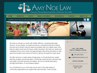 AMY NOE website screenshot