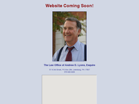 ANDREW LYONS website screenshot