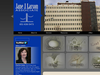 JANE LARSON website screenshot