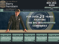 BARRY FEINSTEIN website screenshot