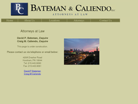 DAVID BATEMAN website screenshot