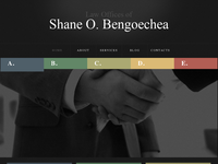 SHANE BENGOECHEA website screenshot