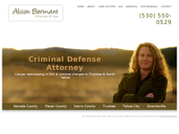 ALISON BERMANT website screenshot