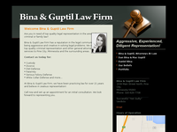 DANIEL BINA website screenshot