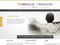MICHAEL BORRELLI website screenshot