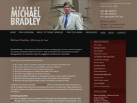 MICHAEL BRADLEY website screenshot