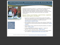 ANDREW BRANDSNESS website screenshot