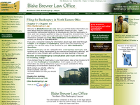 BLAKE BREWER website screenshot