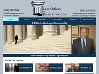 Brian Skibby website screenshot