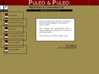 SAMUEL PULEO website screenshot