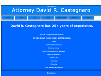 DAVID CASTEGNARO website screenshot