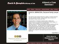 DAVID BERNSTEIN website screenshot