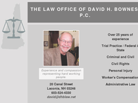 DAVID BOWNES website screenshot