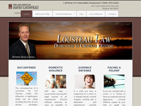 DAVID LOUSTEAU website screenshot