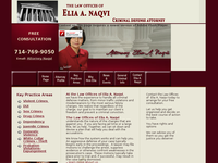 ELIA NAQVI website screenshot