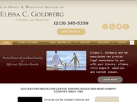 ELISSA GOLDBERG website screenshot
