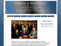 MICHAEL FELDMAN website screenshot
