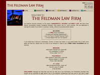 ROBERT FELDMAN website screenshot