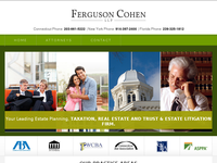 JOHN FERGUSON website screenshot