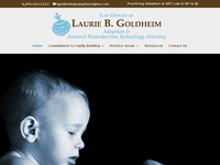 LAURIE GOLDHEIM website screenshot