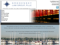 STEVEN GRODENSKY website screenshot
