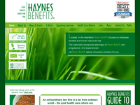 ANDREW HAYNES website screenshot