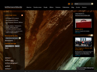 SHIRIN HEIDARY website screenshot