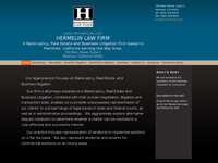 DAVID HERMELIN website screenshot
