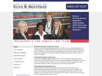 ELLEN HOLTZMAN website screenshot