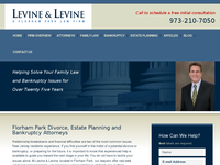 BRETT LEVINE website screenshot
