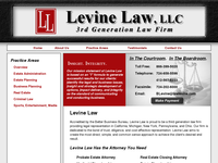 BRIAN LEVINE website screenshot