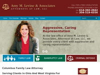 AMY LEVINE website screenshot