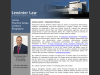 ANDREW LEWINTER website screenshot