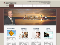 DAVID LOUSTEAU website screenshot