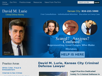 DAVID LURIE website screenshot