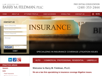 BARRY FELDMAN website screenshot